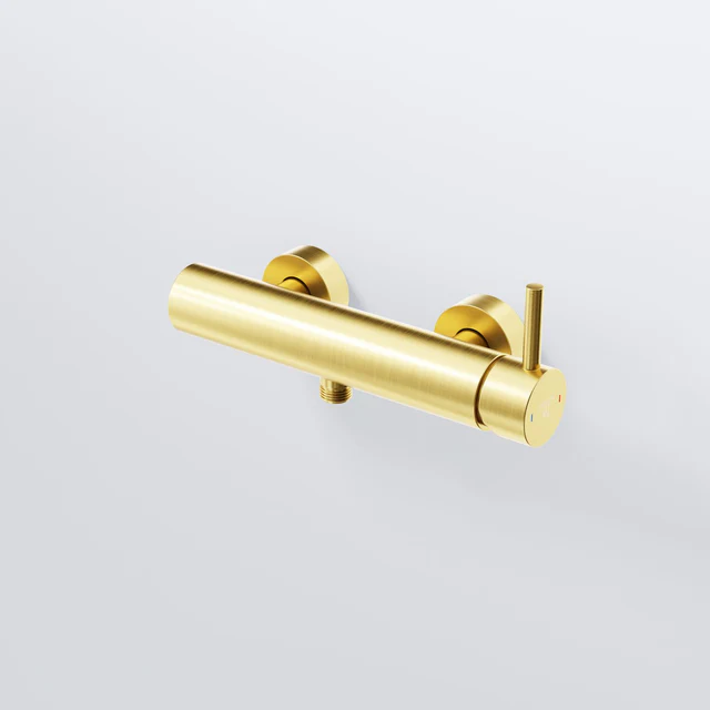 Series 100 Exposed single lever mixer for shower 10