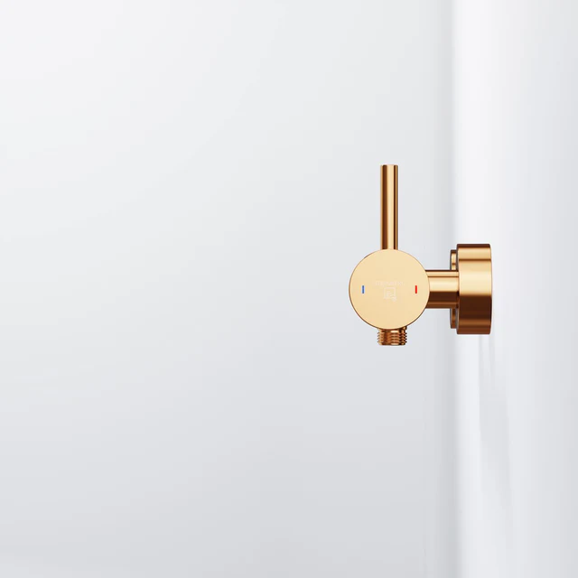 Series 100 Exposed single lever mixer for shower 2